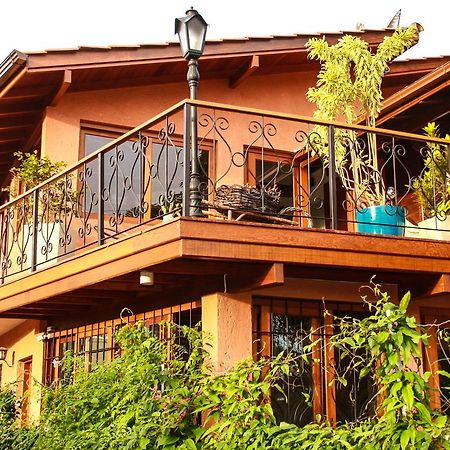 Mama Africa Hostel Флорианополис Экстерьер фото