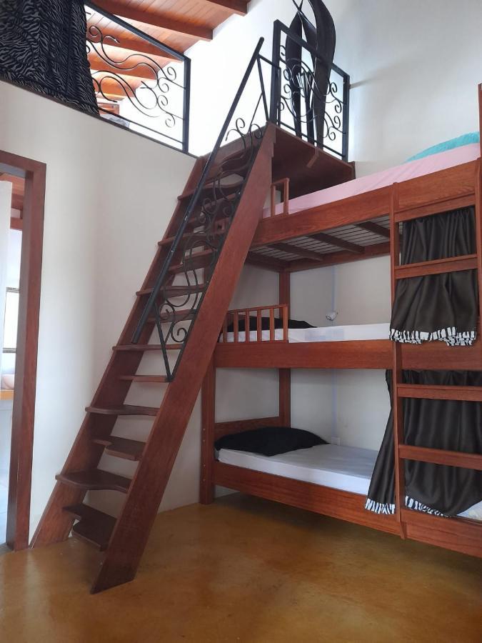Mama Africa Hostel Флорианополис Экстерьер фото